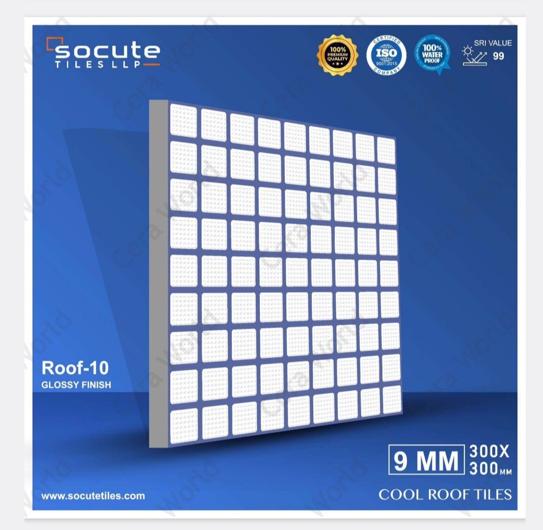 products/ROOF 10.jpg